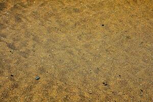 une proche en haut de le sable sur le plage photo