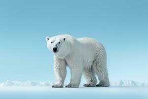 polaire ours rôder dans neige isolé sur une bleu pente Contexte photo