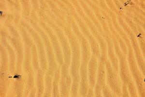 une oiseau en volant dans le désert avec le sable dans le Contexte photo