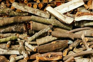 une pile de bois photo