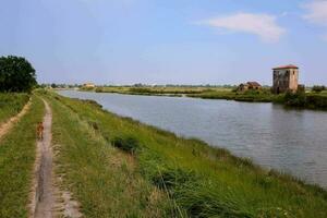 une chien en marchant le long de une chemin suivant à une rivière photo