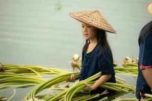 une peu fille assiste sa plus âgée sœur dans cueillette lotus fleurs. rural Thaïlande habitation concept photo