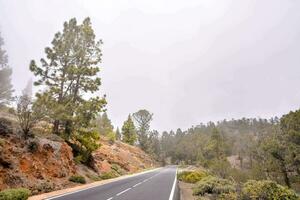 une route dans le montagnes avec des arbres et brouillard photo