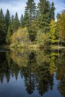 reflets sur le Lac lac boedele photo