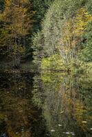 reflets sur le Lac lac boedele photo