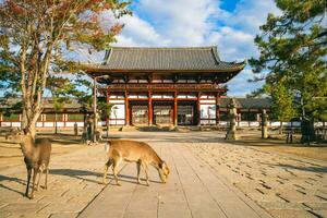 porte du milieu de todaiji, grand temple oriental, à nara, japon photo