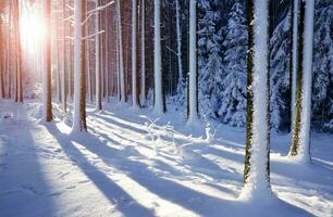magnifique hiver saisonnier Contexte gel et neige sur branches hiver paysage photo