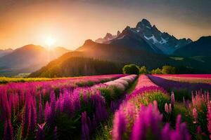 le Soleil monte plus de une champ de violet fleurs. généré par ai photo