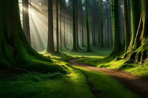 photo fond d'écran forêt, le soleil, lumière, chemin, le forêt, chemin, le forêt,. généré par ai