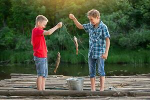 le les enfants pris une poisson tandis que pêche et spectacle il à chaque autre. photo