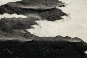 vieux grunge déchiré déchiré noir papier affiche surface texture Contexte photo