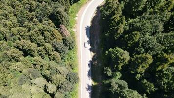 voiture en voyageant milieu forêt photo