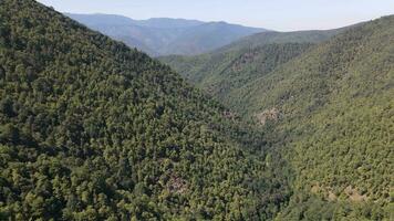 épique vert Mountian forêt aérien vue photo