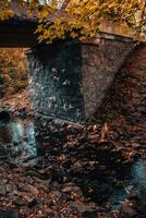 le vieux pont plus de le rivière de le l'automne forêt. forêt rivière courant paysage. photo