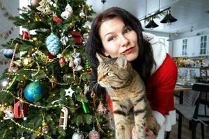 selfie marrant portrait de une femme dans une rouge Père Noël robe et national chat dans une Accueil intérieur avec une Noël arbre et Nouveau année décor. préparation pour le vacances, fête photo