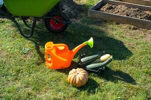 récolte des légumes dans le jardin, citrouille, courgette, tomates, carottes dans une panier suivant à une arrosage pouvez et une jardin Chariot. récolte festival, cadeaux de l'automne, cultivation de respectueux de la nature des produits photo