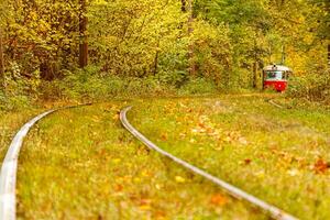 l'automne forêt par lequel un vieux tram monte Ukraine photo