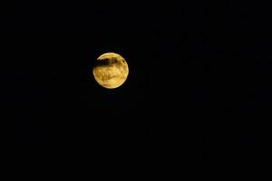 pleine lune, lune jaune photo