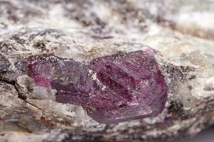 macro minéral pierre rubis sur une blanc Contexte photo