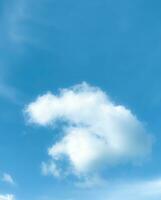 ciel et duveteux nuage paysage dans le Matin est incroyablement calmant à début le jour, ciel et duveteux blanc nuage fabriqué moi ressentir détendu, ciel et duveteux nuage paysage prendre une majestueux et Stupéfiant beauté photo