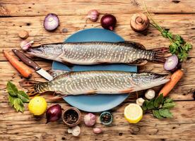 poisson brochet sur le cuisine planche photo