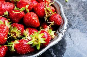 Frais juteux des fraises photo