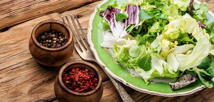 en bonne santé végétarien salade photo