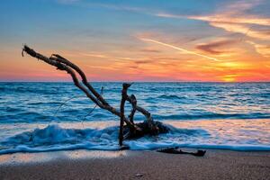 ld bois tronc accroc dans l'eau à plage sur magnifique le coucher du soleil photo