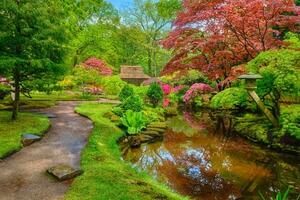 Japonais jardin, parc clinendael, le La Haye, Pays-Bas photo