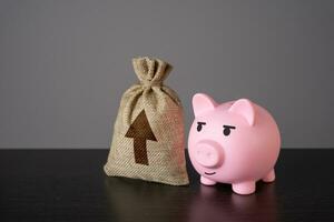 porc porcin banque et une sac avec un en haut La Flèche. croissance dans bénéfices. carrière avancement, amélioration et améliorer. réussi entreprise, dynamique développement. prendre il à le entier Nouveau niveau. photo