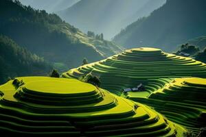 ai généré riz des champs sur en terrasse de mu cang chaï, vietnam, en terrasse riz champ dans récolte saison dans mu cang, ai généré photo