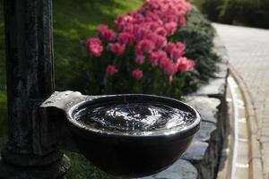 l'eau s'égoutte dans un bol d'eau et des tulipes roses floues photo