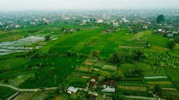 vue de village et une vert champ aérien photo