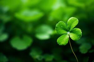 vert trèfle feuilles sur une foncé Contexte. Saint-Patrick journée. ai généré photo