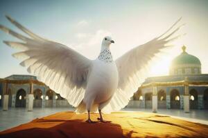 blanc Colombe porter dans Soleil lumière. produire ai photo