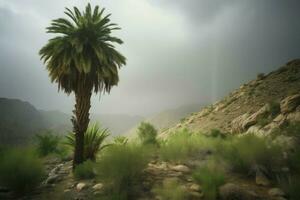 paume arbre sur Montagne riz plantation. produire ai photo