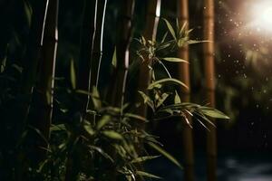 bambous lune lumière la nature. produire ai photo