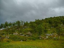 été temps dans Norvège photo