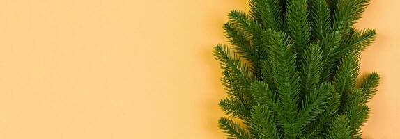Haut vue bannière de Cadre fabriqué de sapin arbre sur coloré Contexte avec copie espace. joyeux Noël concept photo