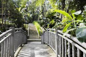 sentier de randonnée tropical à travers un petit pont gris, en malaisie.