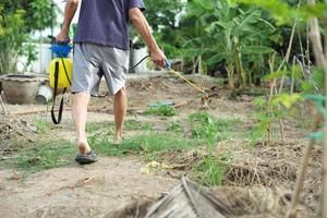 vue arrière du jardinier masculin en tenue décontractée pulvérisant l'insecticide photo