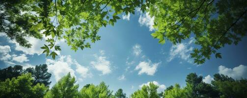 à la recherche en haut à le vert hauts de des arbres, génératif ai photo