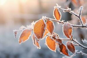 glacial l'automne feuilles sur branche. génératif ai photo