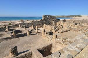 Baelo claudia archéologique site dans Bolonia photo