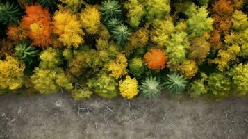 ai généré vert saison paysage herbe aérien ai généré photo