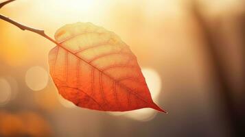 ai généré la nature plante vert bouquet ensoleillé ai généré photo