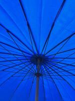 bleu parapluies sur une plage photo