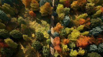 ai généré chemin forêt sec journée forêt ai généré photo