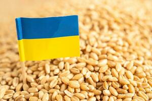 grains de blé avec drapeau de l'ukraine, exportation commerciale et concept d'économie. photo