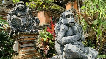 pierre singes statues dans sacré singe forêt. vieux décoratif singe sculptures dans bali Ubud sacré forêt photo